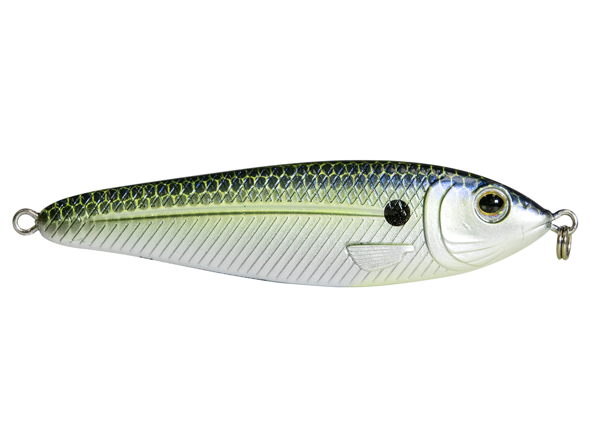 EBS Jigging Spoon