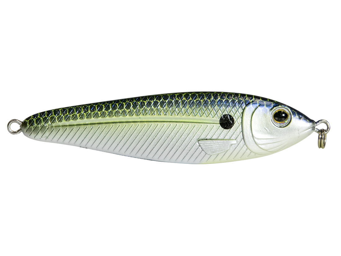 EBS Jigging Spoon