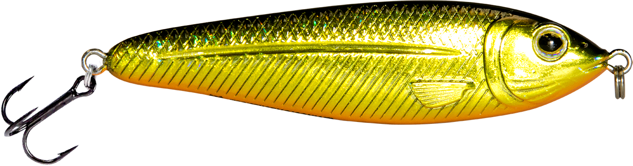 EBS Jigging Spoon