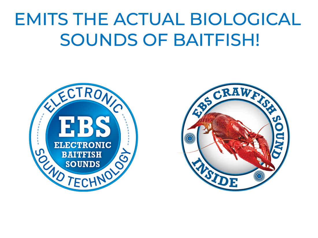 EBS Jigging Spoon