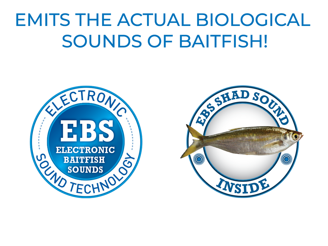 EBS Jigging Spoon